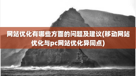 网站优化有哪些方面的问题及建议(移动网站优化与pc网站优化异同点)