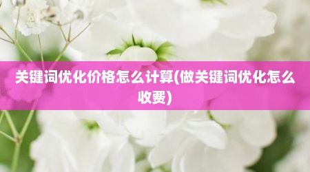 关键词优化价格怎么计算(做关键词优化怎么收费)