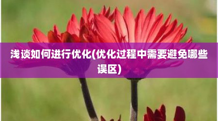 浅谈如何进行优化(优化过程中需要避免哪些误区)