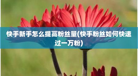 快手新手怎么提高粉丝量(快手粉丝如何快速过一万粉)