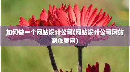 如何做一个网站设计公司(网站设计公司网站制作费用)