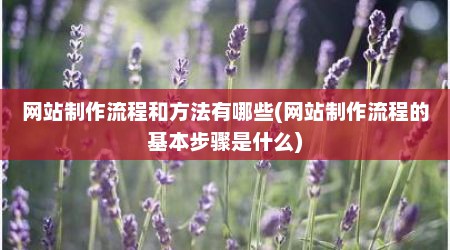 网站制作流程和方法有哪些(网站制作流程的基本步骤是什么)