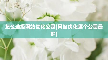 怎么选择网站优化公司(网站优化哪个公司最好)
