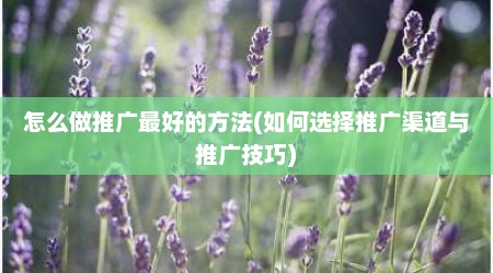 怎么做推广最好的方法(如何选择推广渠道与推广技巧)