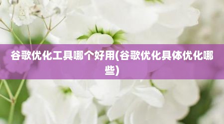 谷歌优化工具哪个好用(谷歌优化具体优化哪些)