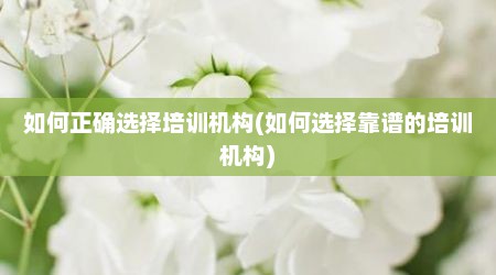 如何正确选择培训机构(如何选择靠谱的培训机构)