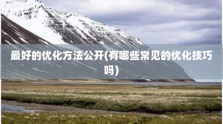 最好的优化方法公开(有哪些常见的优化技巧吗)