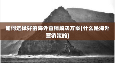 如何选择好的海外营销解决方案(什么是海外营销策略)