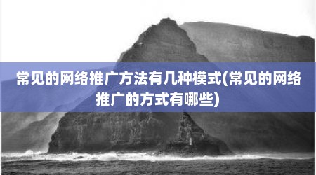 常见的网络推广方法有几种模式(常见的网络推广的方式有哪些)
