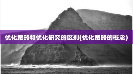 优化策略和优化研究的区别(优化策略的概念)