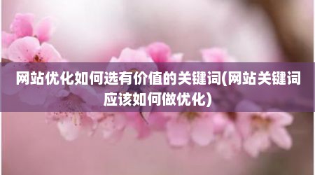 网站优化如何选有价值的关键词(网站关键词应该如何做优化)