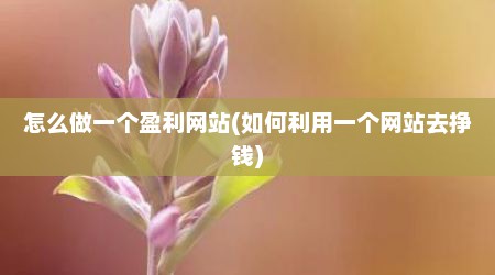 怎么做一个盈利网站(如何利用一个网站去挣钱)