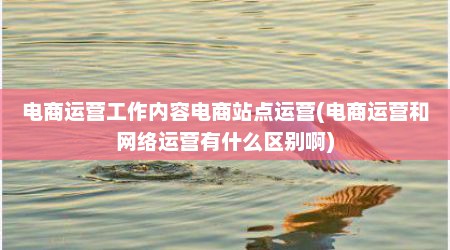 电商运营工作内容电商站点运营(电商运营和网络运营有什么区别啊)