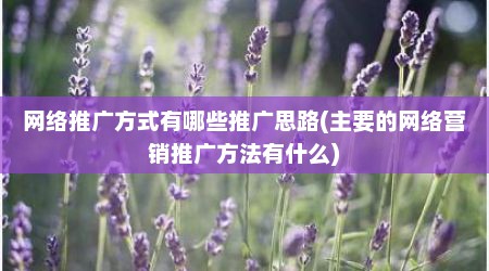网络推广方式有哪些推广思路(主要的网络营销推广方法有什么)