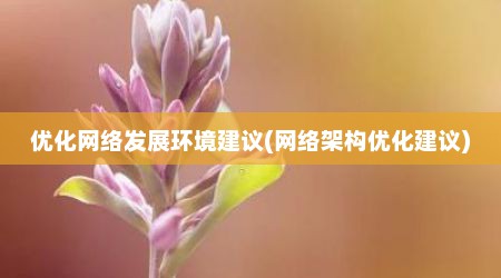 优化网络发展环境建议(网络架构优化建议)