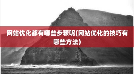 网站优化都有哪些步骤呢(网站优化的技巧有哪些方法)