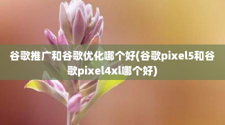 谷歌推广和谷歌优化哪个好(谷歌pixel5和谷歌pixel4xl哪个好)