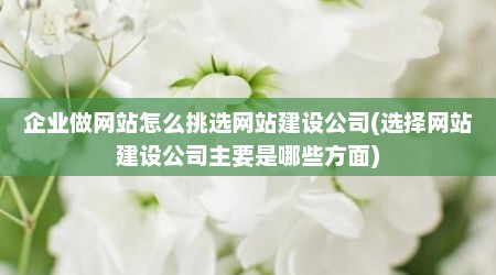 企业做网站怎么挑选网站建设公司(选择网站建设公司主要是哪些方面)
