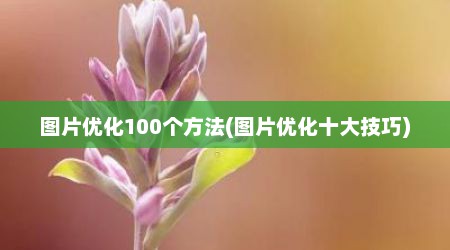 图片优化100个方法(图片优化十大技巧)
