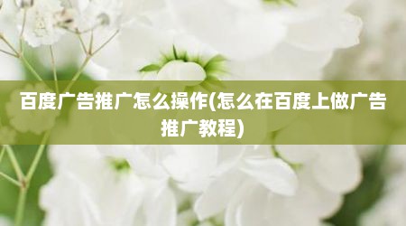 百度广告推广怎么操作(怎么在百度上做广告推广教程)