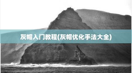 灰帽入门教程(灰帽优化手法大全)