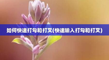 如何快速打勾和打叉(快速输入打勾和打叉)