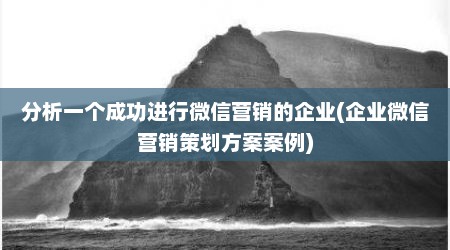 分析一个成功进行微信营销的企业(企业微信营销策划方案案例)
