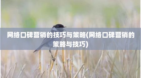 网络口碑营销的技巧与策略(网络口碑营销的策略与技巧)