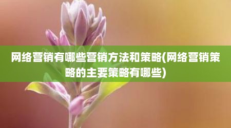 网络营销有哪些营销方法和策略(网络营销策略的主要策略有哪些)