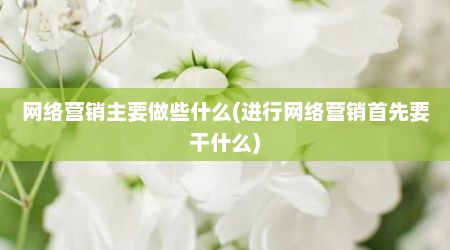 网络营销主要做些什么(进行网络营销首先要干什么)