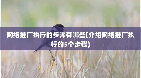 网络推广执行的步骤有哪些(介绍网络推广执行的5个步骤)