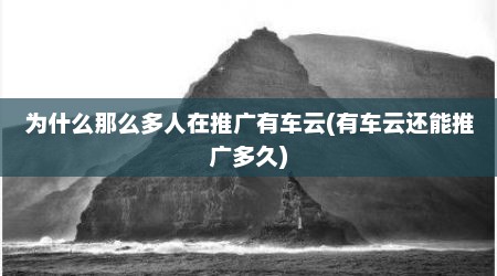 为什么那么多人在推广有车云(有车云还能推广多久)
