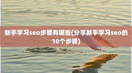 新手学习seo步骤有哪些(分享新手学习seo的10个步骤)