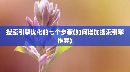搜索引擎优化的七个步骤(如何增加搜索引擎推荐)