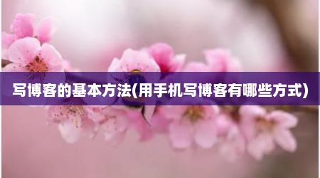 写博客的基本方法(用手机写博客有哪些方式)