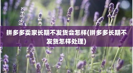 拼多多卖家长期不发货会怎样(拼多多长期不发货怎样处理)