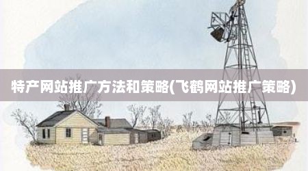 特产网站推广方法和策略(飞鹤网站推广策略)