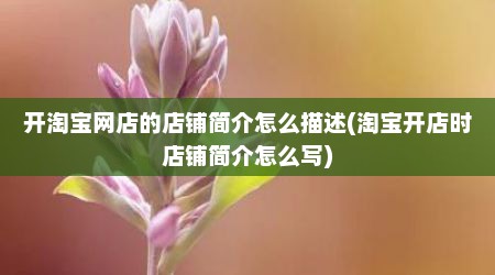 开淘宝网店的店铺简介怎么描述(淘宝开店时店铺简介怎么写)
