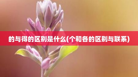 的与得的区别是什么(个和各的区别与联系)