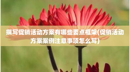 撰写促销活动方案有哪些要点框架(促销活动方案案例注意事项怎么写)