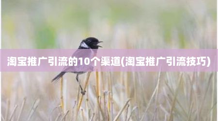 淘宝推广引流的10个渠道(淘宝推广引流技巧)