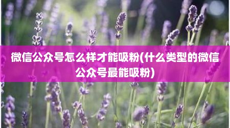 微信公众号怎么样才能吸粉(什么类型的微信公众号最能吸粉)
