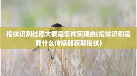 指纹识别过程大概是怎样实现的(指纹识别是靠什么传感器获取指纹)