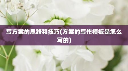 写方案的思路和技巧(方案的写作模板是怎么写的)