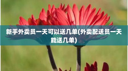 新手外卖员一天可以送几单(外卖配送员一天能送几单)
