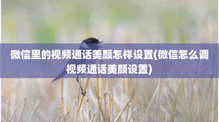 微信里的视频通话美颜怎样设置(微信怎么调视频通话美颜设置)