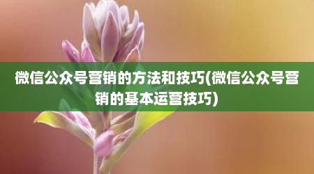 微信公众号营销的方法和技巧(微信公众号营销的基本运营技巧)