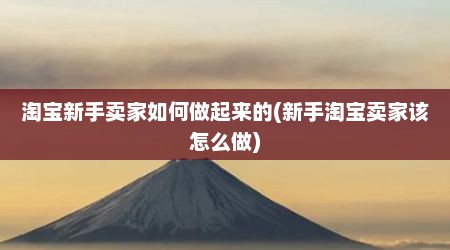 淘宝新手卖家如何做起来的(新手淘宝卖家该怎么做)