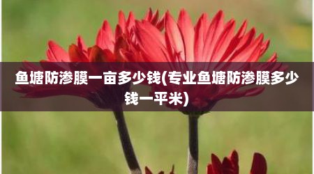 鱼塘防渗膜一亩多少钱(专业鱼塘防渗膜多少钱一平米)