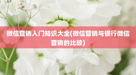 微信营销入门知识大全(微信营销与银行微信营销的比较)